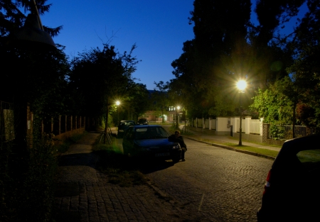 Sommernacht in Dahlem_7.2013